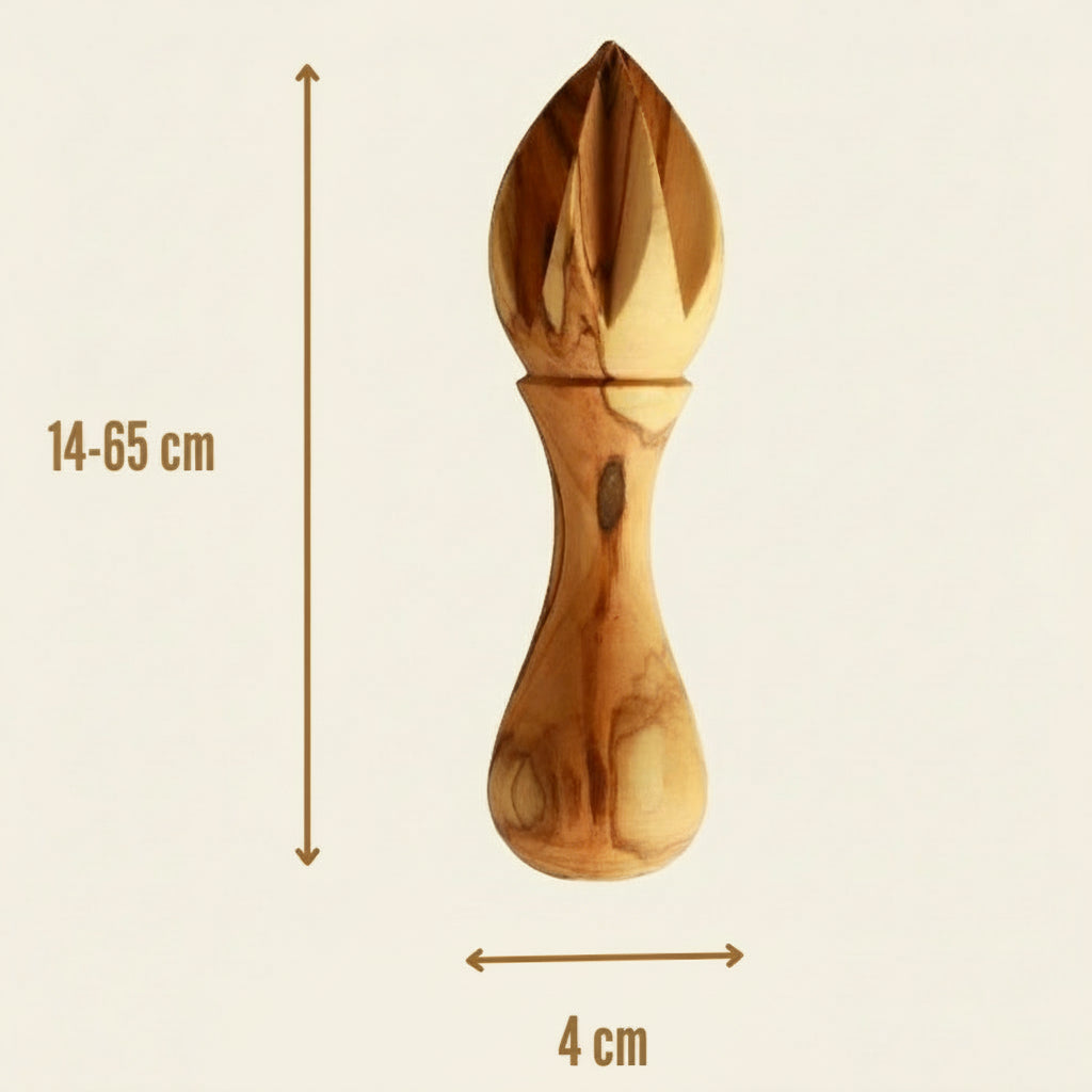 Presse-agrumes artisanal en bois d’olivier avec indication des dimensions, 14,65 cm de hauteur et 4 cm de largeur, accessoire de cuisine naturel et élégant.